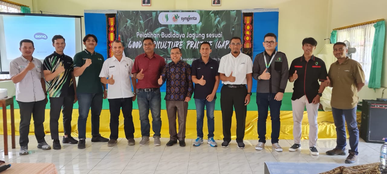 Pelatihan Budidaya Jagung Kerja Sama PT. Seger Agro Nusantara, PT. Sylvano Maynard Jaya dan Syngenta Indonesia di Manggarai Timur, Nusa Tenggara Timur.