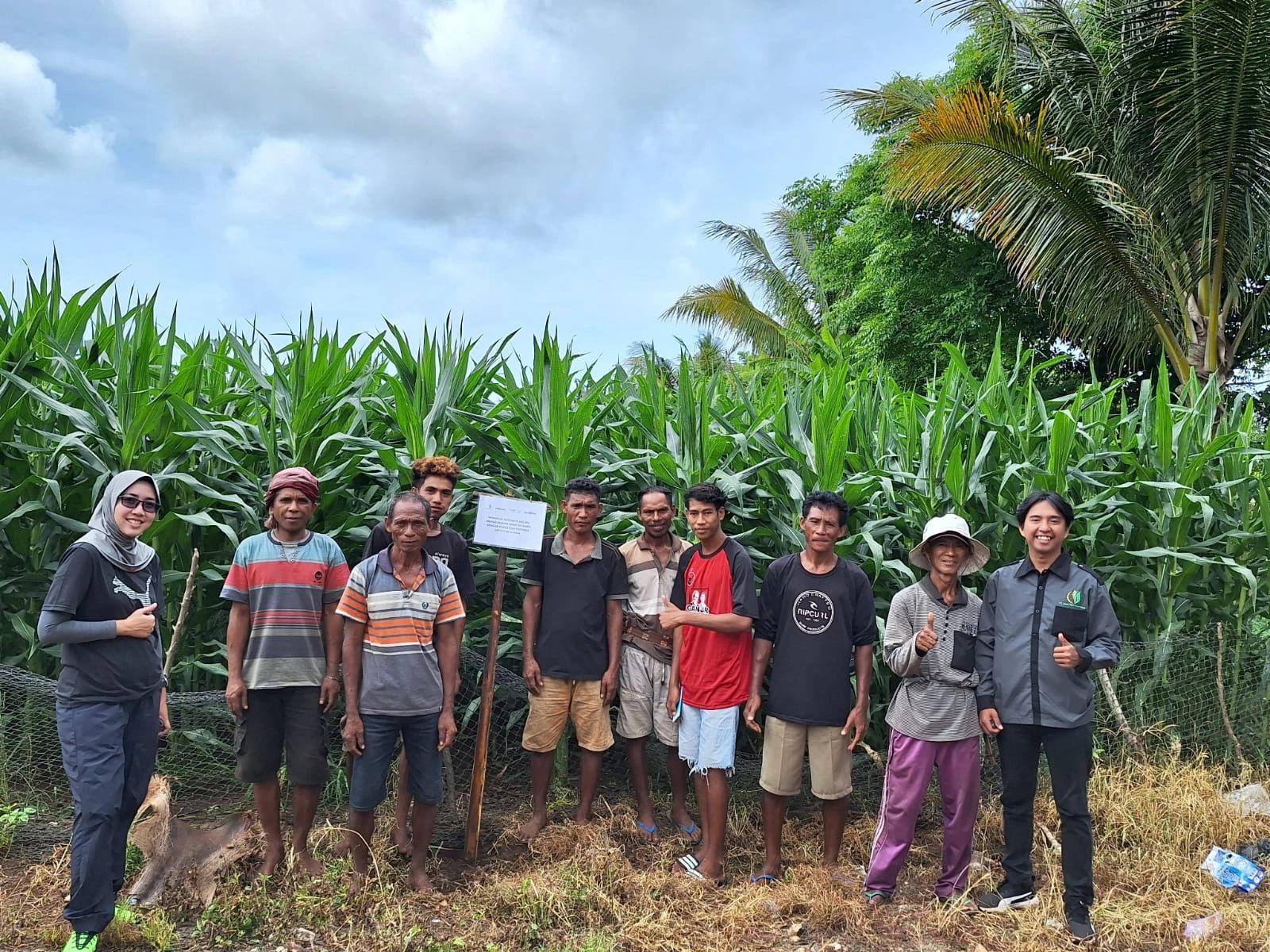 Kumpul Tani Sumba Barat Daya