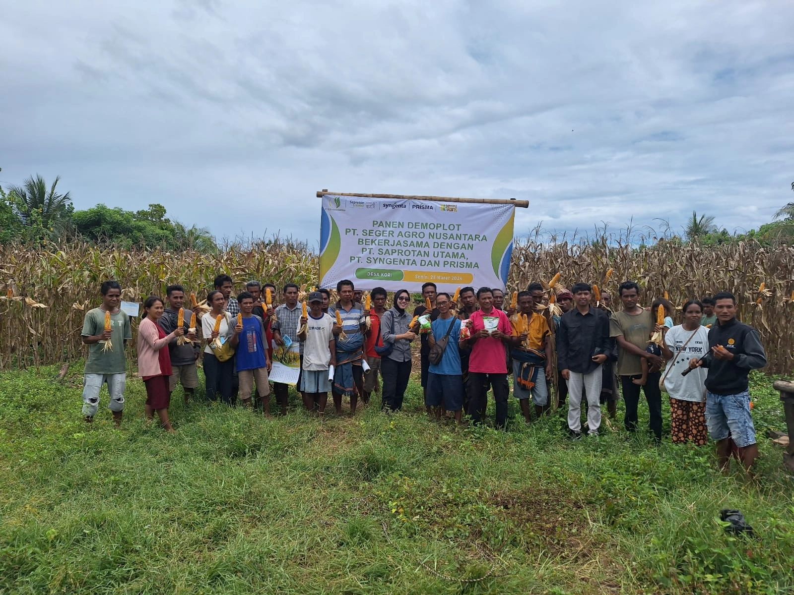 Panen Demoplot Sahabat Tani di Sumba Barat Daya