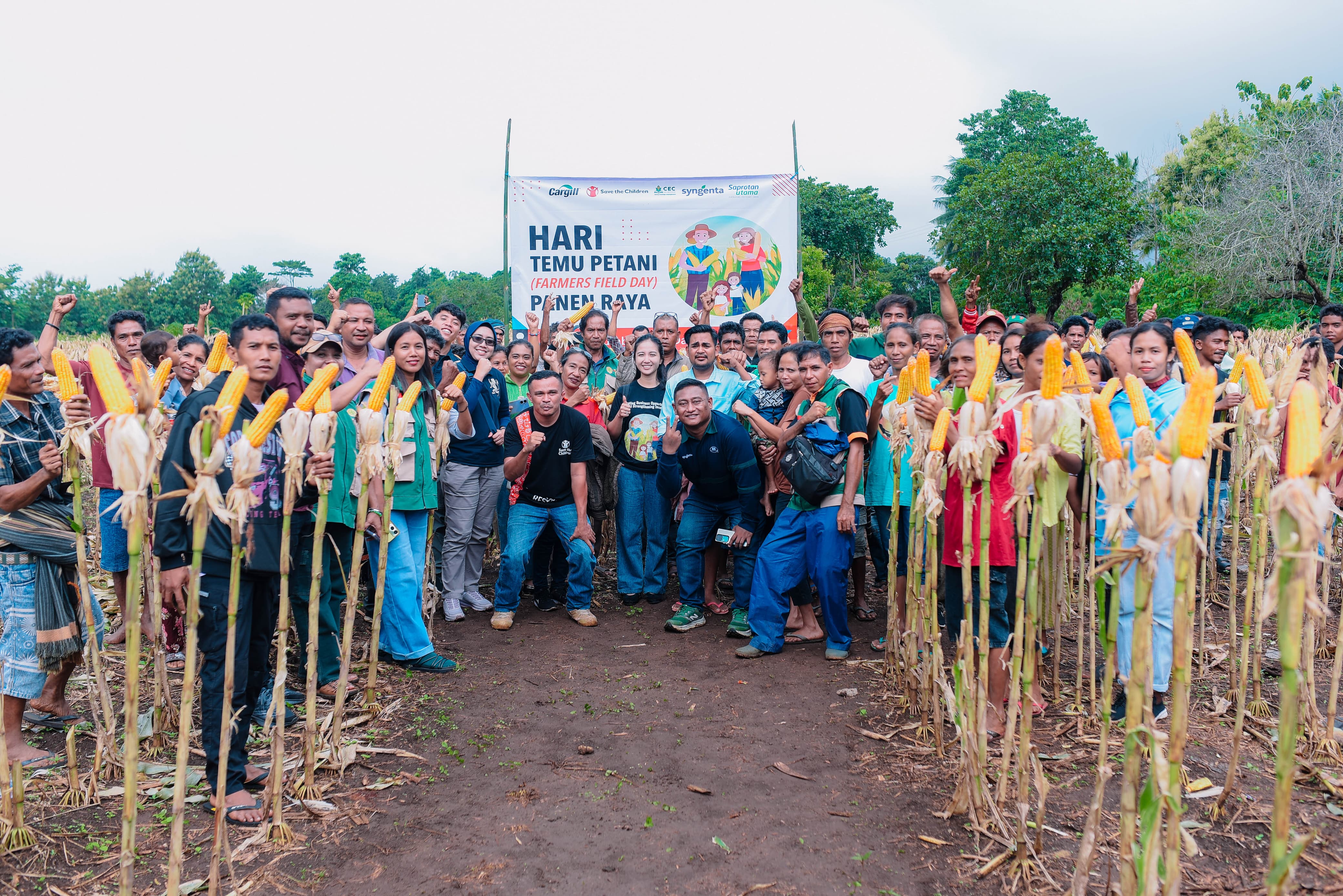 Corn Edu Center Menyelenggarakan Farmer Field Day di Sumba Barat Daya